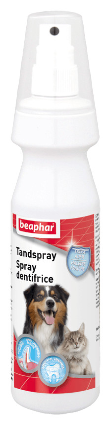 Beaphar Zahnspray für den Hund