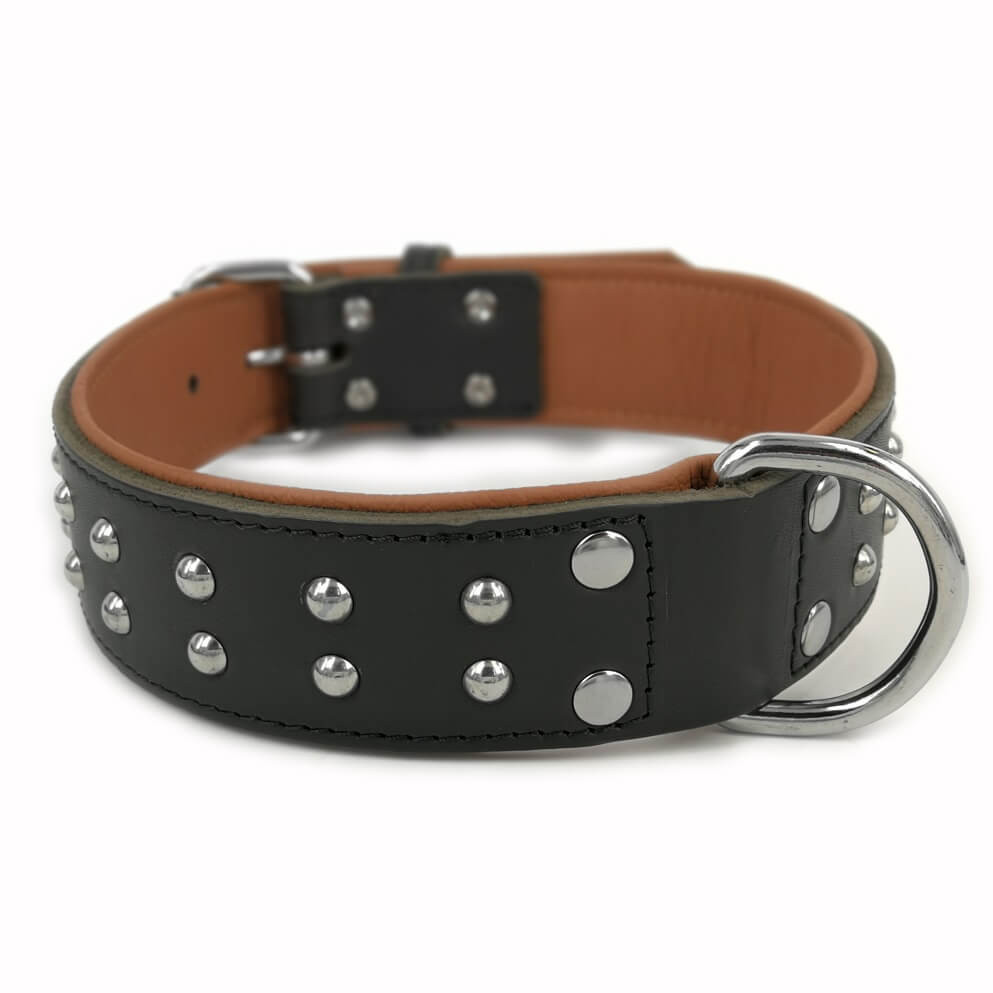 Weiches Lederhalsband Quasar Schwarz