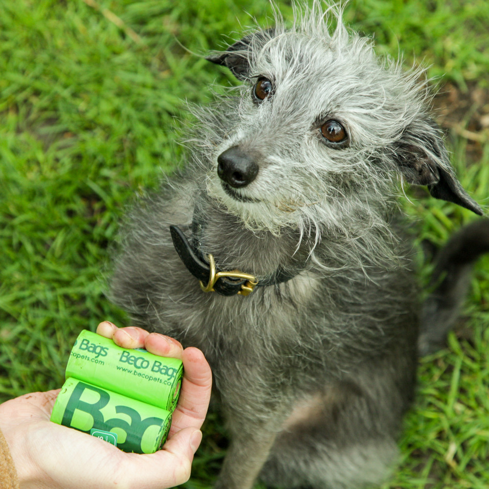 Beco Bags Kotbeutel für Hunde - 60 Stk.