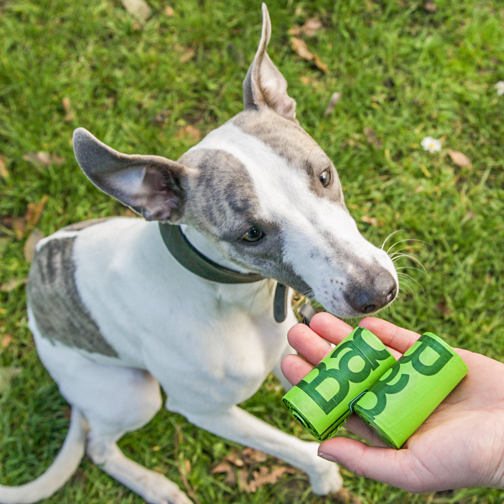 Beco Bags Kotbeutel für Hunde - 60 Stk.