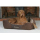 Scruffs Chester Box Bed Hundebett Chocolate (braun)