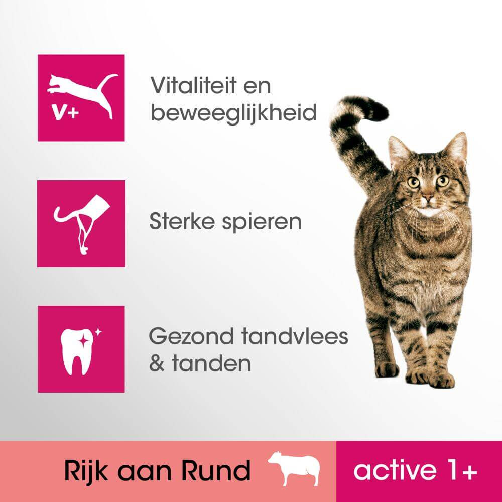 Perfect Fit Active 1+ met rund kattenvoer