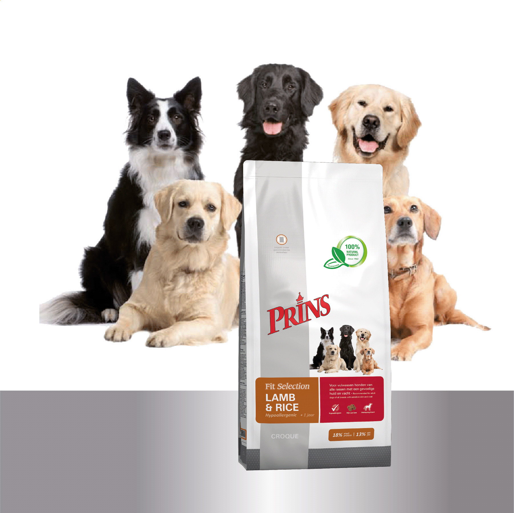 Prins Fit Selection mit Lamm und Reis Hundefutter