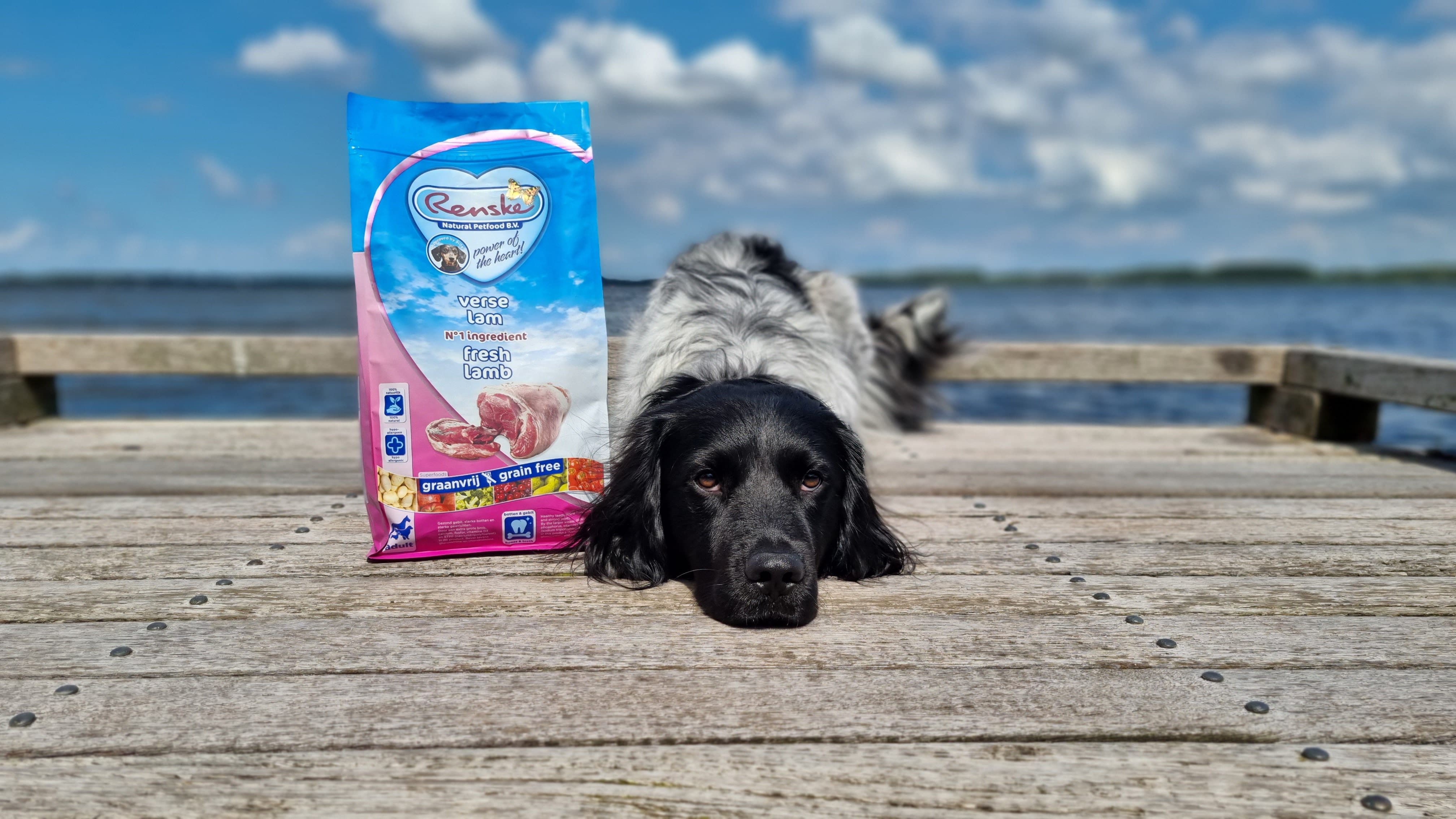 Renske Super Premium Adult Getreidefrei Frisches Lamm Hundefutter