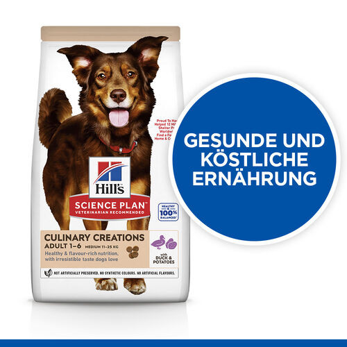 Hill's Culinary Creations Adult Medium Hundefutter mit Ente und Kartoffel