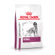 Royal Canin Veterinary Renal Hundefutter