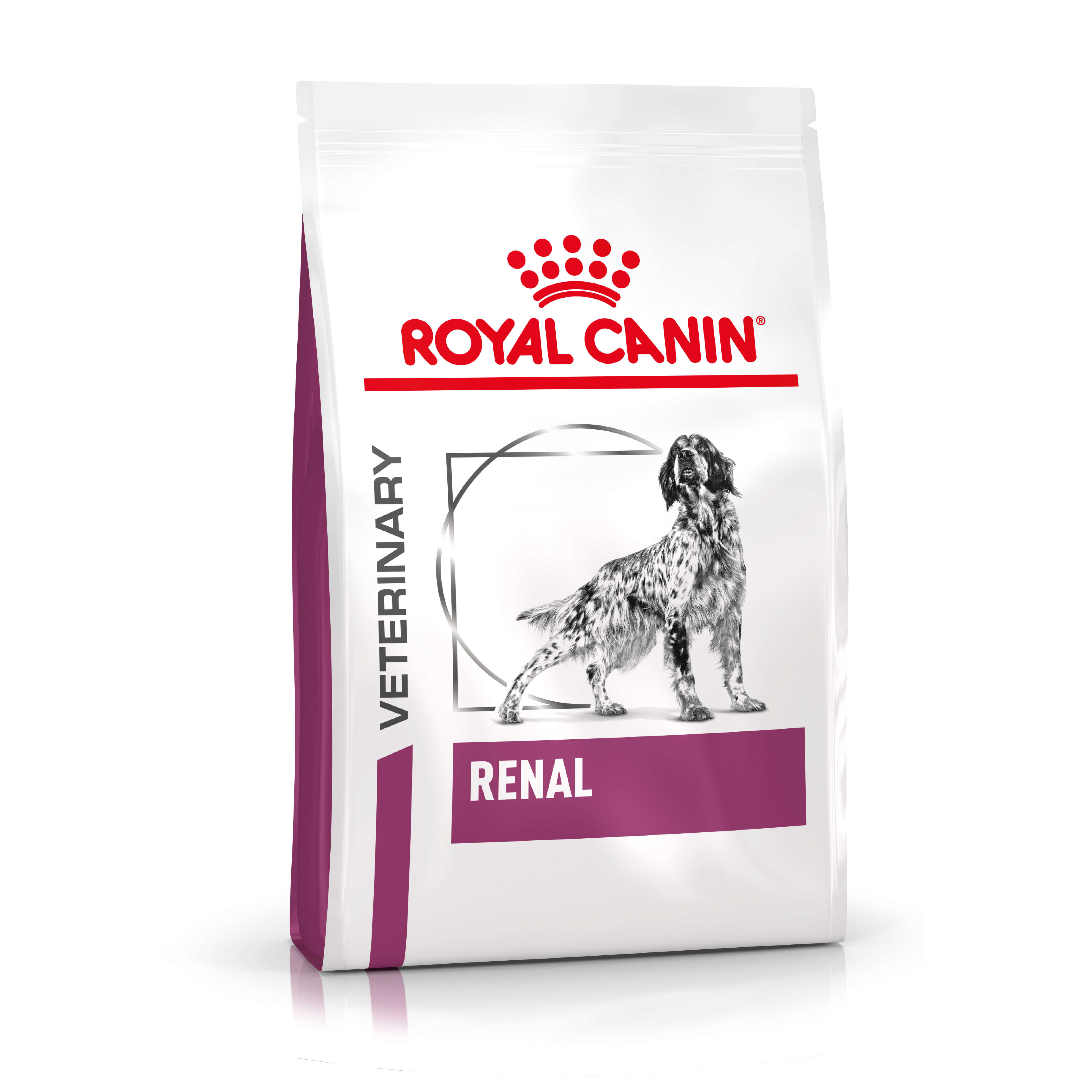 Royal Canin Renal Dog