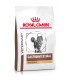 Royal Canin Veterinary Gastrointestinal Hairball Katzenfutter