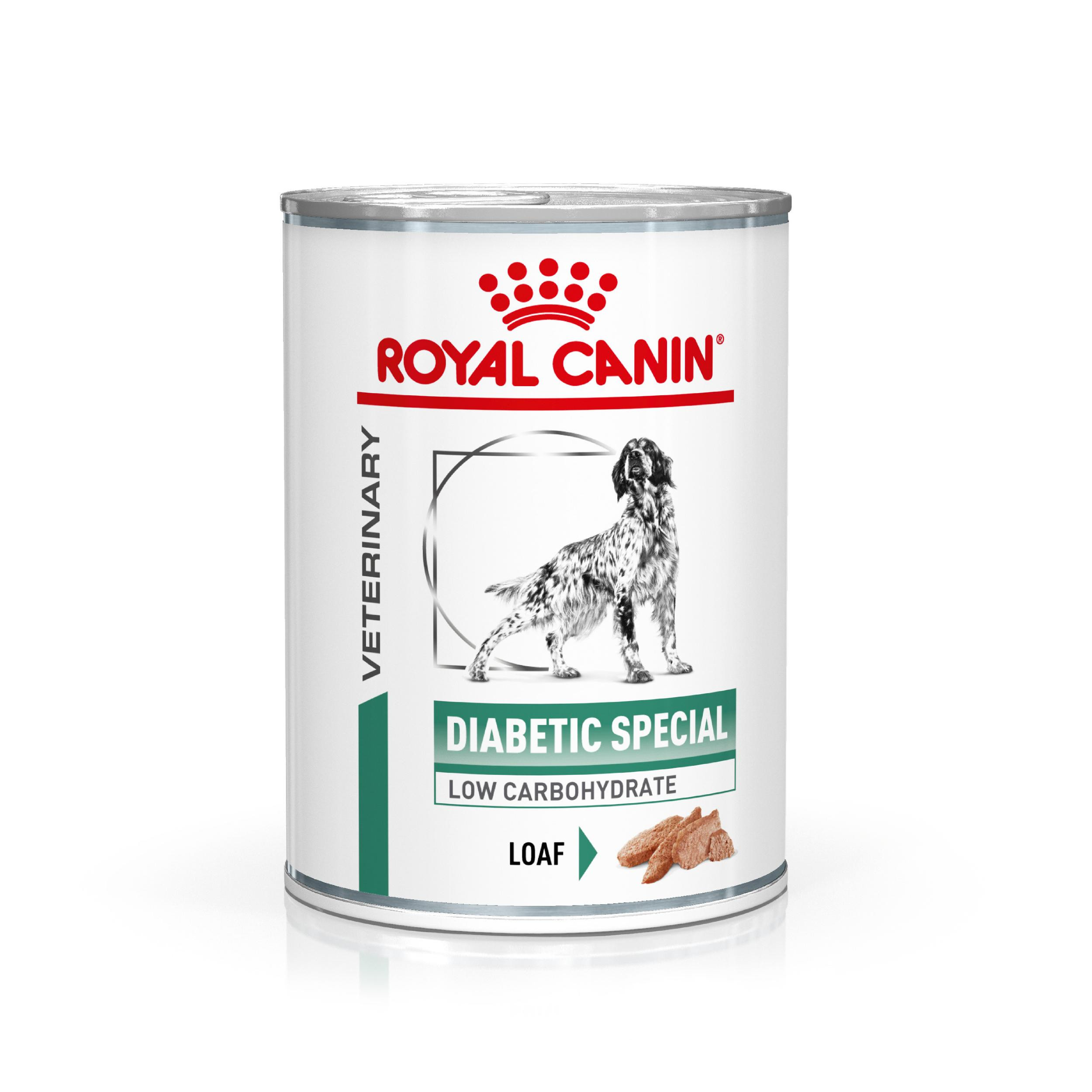 Royal Canin Veterinary Diabetic Special Hunde-Nassfutter