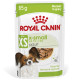 Royal Canin X-Small Adult Hunde-Nassfutter