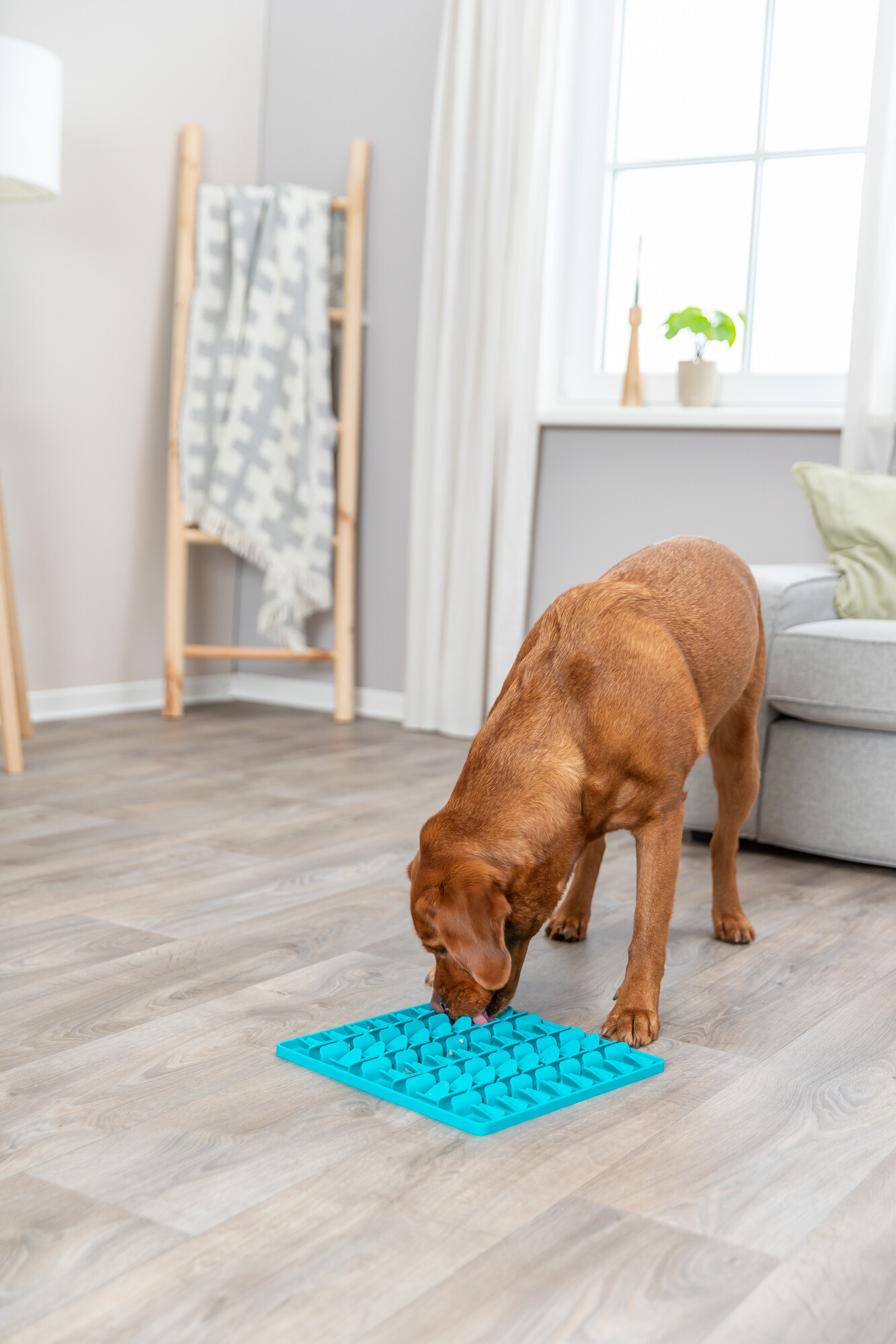 Trixie Lick'n'Snack likmat voor de hond (30 cm)