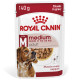 Royal Canin Medium Adult Nassfutter