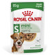 Royal Canin Mini Ageing 12+ Hunde-Nassfutter