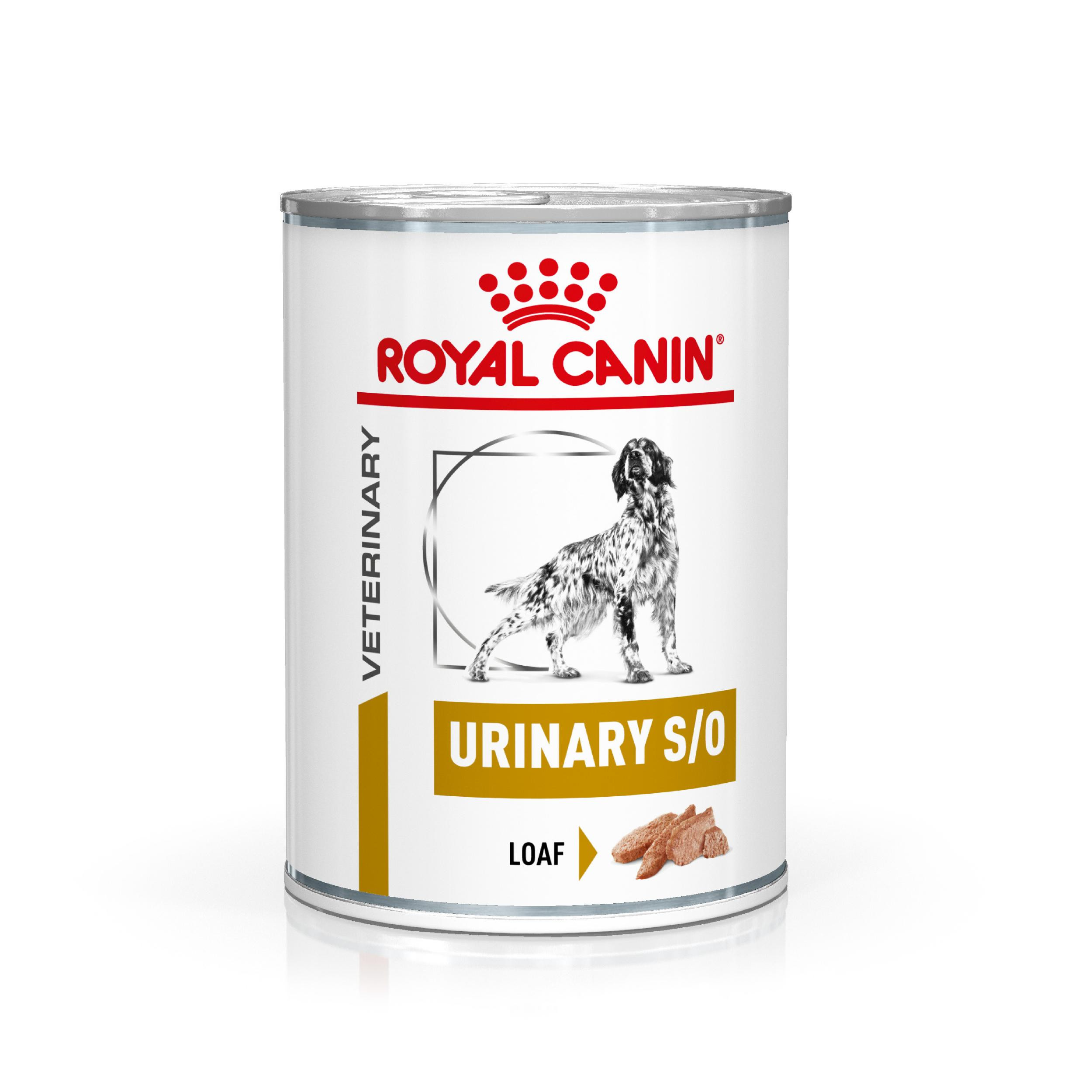 Royal Canin Veterinary Urinary S/O Loaf Hunde-Nassfutter