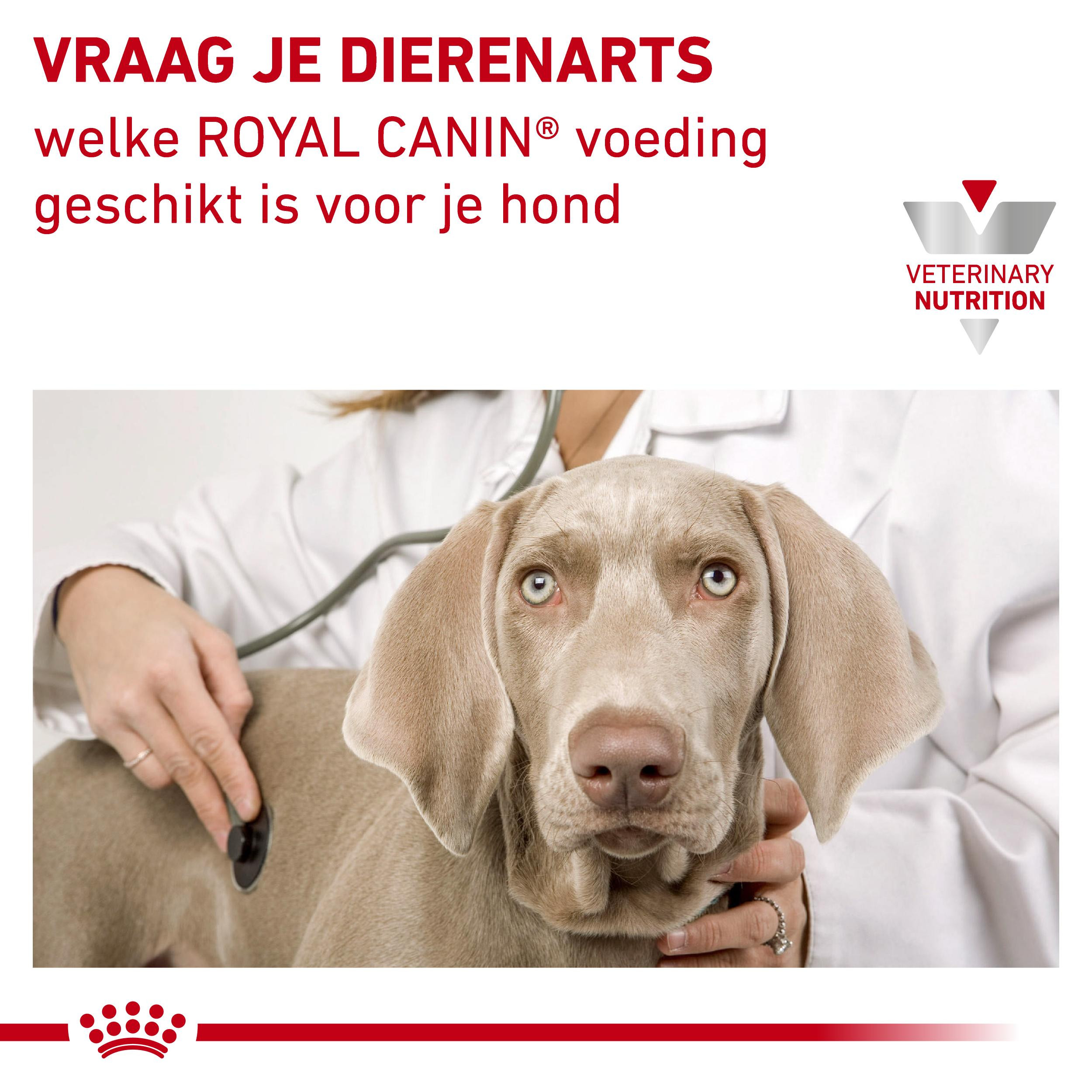 Royal Canin Veterinary Urinary S/O Loaf Hunde-Nassfutter