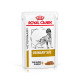 Royal Canin Veterinary Urinary S/O in Gravy Hunde-Nassfutter