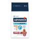 Advance Medium Senior mit Huhn und Reis Hundefutter